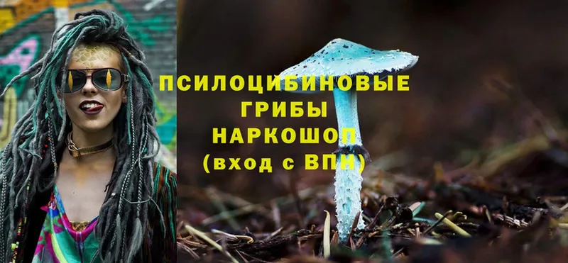 Галлюциногенные грибы Psilocybine cubensis  где найти наркотики  Катайск 